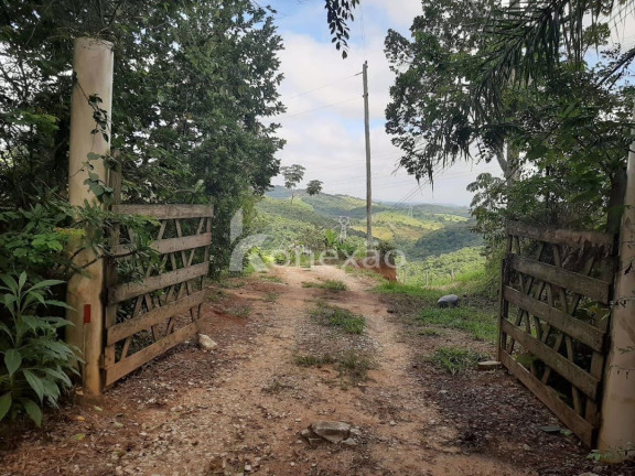Imagem Chácara com 3 Quartos à Venda, 300 m² em Centro - Taubaté