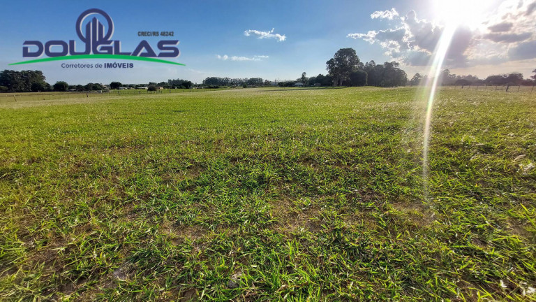Imagem Chácara com 3 Quartos à Venda, 20.000 m² em águas Claras - Viamão