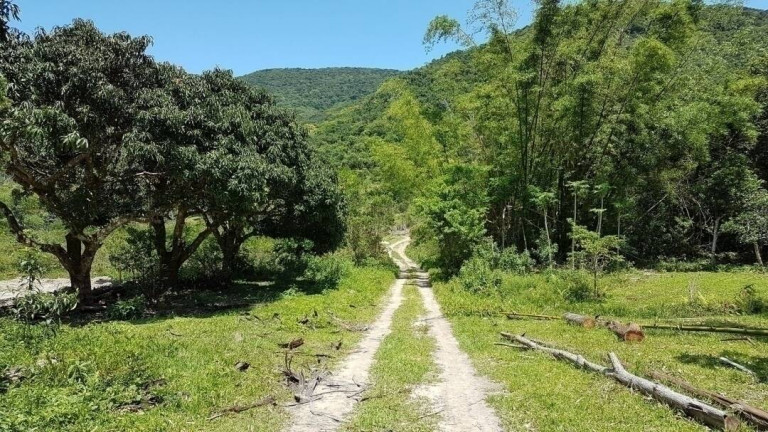 Imagem Fazenda à Venda, 80 m² em São João Do Rio Vermelho - Florianópolis Imagem Fazenda à Venda, 80 m² em São João Do Rio Vermelho - Florianópolis