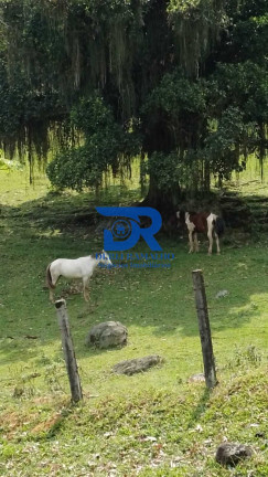 Imagem Imóvel com 5 Quartos à Venda, 124.000 m² em Parque Xerém - Duque De Caxias