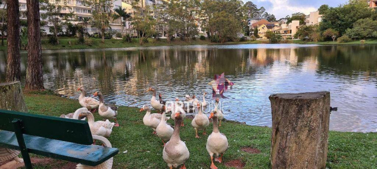 Imagem Sobrado com 5 Quartos à Venda, 800 m² em Parque Terra Nova Ii - São Bernardo Do Campo Imagem Sobrado com 5 Quartos à Venda, 800 m² em Parque Terra Nova Ii - São Bernardo Do Campo