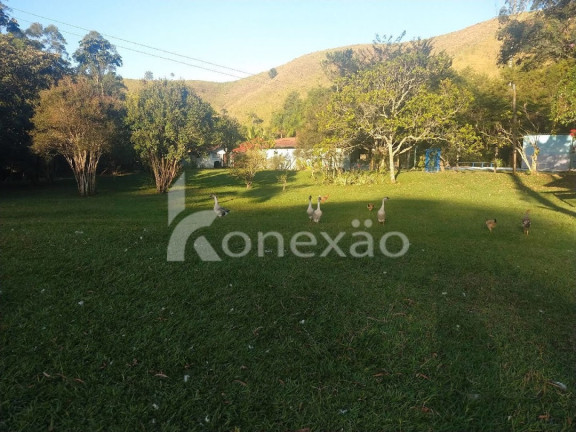 Imagem Chácara com 3 Quartos à Venda, 250 m² em Rio De Peixe - São José Dos Campos Imagem Chácara com 3 Quartos à Venda, 250 m² em Rio De Peixe - São José Dos Campos