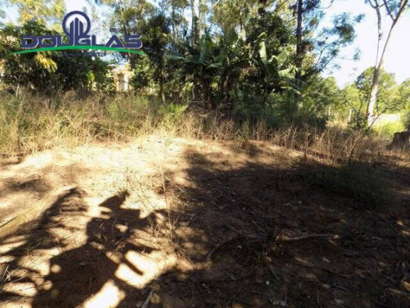 Imagem Imóvel Comercial à Venda, 5.000 m² em águas Claras - Viamão