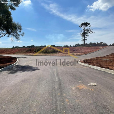 Imagem Terreno à Venda, 230 m² em Costeira - Araucária Imagem Terreno à Venda, 230 m² em Costeira - Araucária