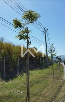Imagem Terreno à Venda, 34.000 m² em Campo Grande - Rio De Janeiro Imagem Terreno à Venda, 34.000 m² em Campo Grande - Rio De Janeiro