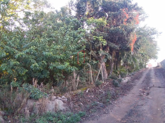 Imagem Imóvel à Venda, 5.000 m² em João Aranha - Paulínia