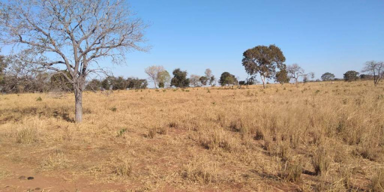 Imagem Fazenda à Venda, 121 m² em Zona Rural - Montes Claros De Goiás Imagem Fazenda à Venda, 121 m² em Zona Rural - Montes Claros De Goiás