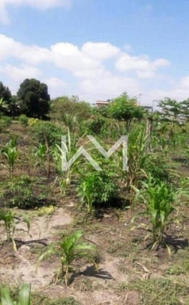 Imagem Terreno à Venda, 6.000 m² em Jardim Presidente Dutra - Guarulhos Imagem Terreno à Venda, 6.000 m² em Jardim Presidente Dutra - Guarulhos