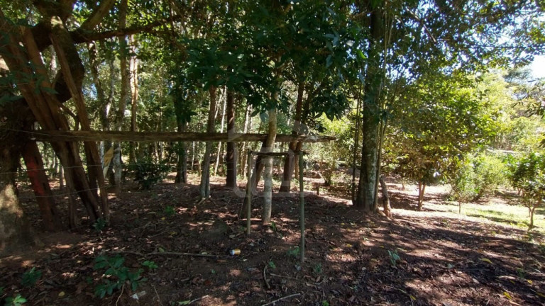 Imagem Imóvel com 3 Quartos à Venda, 3.800 m² em Souza Lima - Poços De Caldas Imagem Imóvel com 3 Quartos à Venda, 3.800 m² em Souza Lima - Poços De Caldas