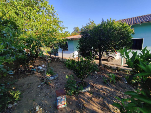 Imagem Casa com 3 Quartos à Venda, 293 m² em Trigolândia - Piên Imagem Casa com 3 Quartos à Venda, 293 m² em Trigolândia - Piên