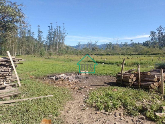 Imagem Fazenda à Venda, 200 m² em Pegorelli - Caraguatatuba