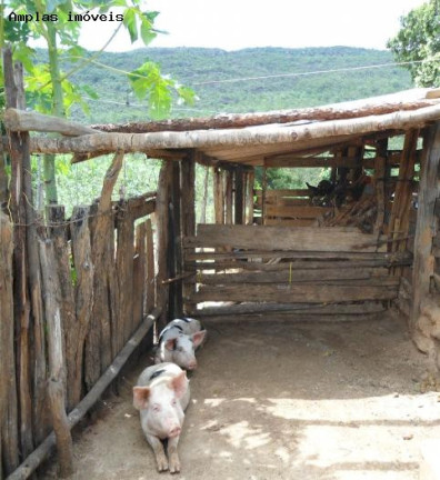 Imagem Fazenda à Venda, 164 m² em Monjolos área Rural - Monjolos