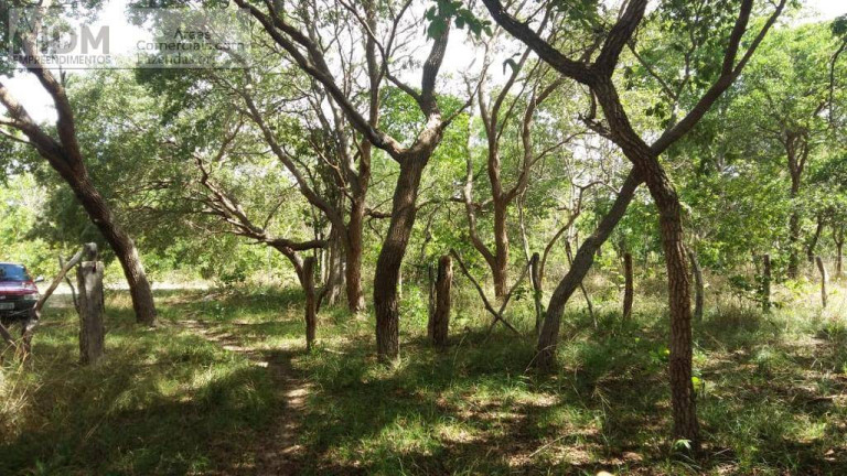 Imagem Chácara à Venda, 22.000.000 m² em Rural - São Romão Imagem Chácara à Venda, 22.000.000 m² em Rural - São Romão