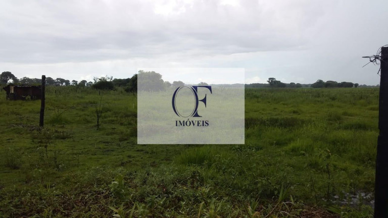 Imagem Fazenda à Venda, 24.000 m² em Pantanal - Corumbá