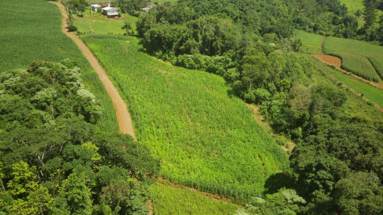 Imagem Terreno à Venda, 90.000 m² em Rural - Concórdia Imagem Terreno à Venda, 90.000 m² em Rural - Concórdia