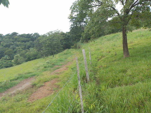 Imagem Chácara à Venda, em Cuiabá Imagem Chácara à Venda, em Cuiabá