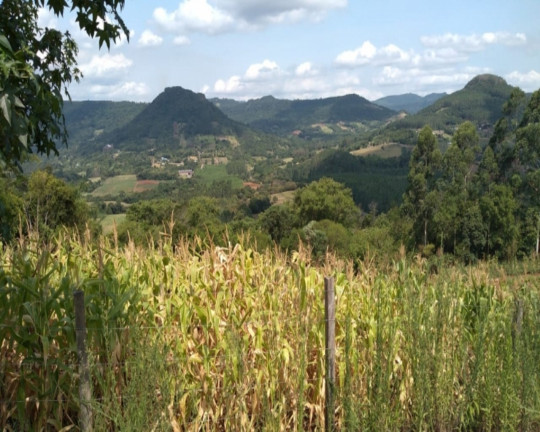 Imagem Imóvel com 2 Quartos à Venda, em Vila Rica - Feliz Imagem Imóvel com 2 Quartos à Venda, em Vila Rica - Feliz
