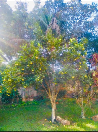 Imagem Fazenda à Venda, 15.000 m² em Bonsucesso - Saquarema
