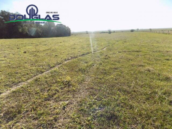 Imagem Chácara à Venda, 8 m² em águas Claras - Viamão