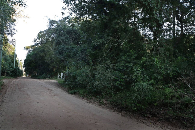 Imagem Terreno à Venda, 1.350 m² em águas Claras - Viamão