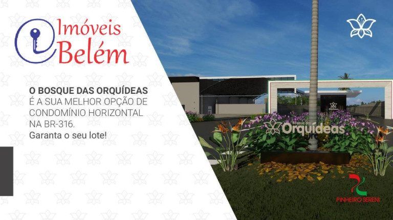 Imagem Terreno à Venda, 230 m² em águas Brancas - Ananindeua Imagem Terreno à Venda, 230 m² em águas Brancas - Ananindeua