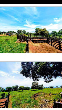 Imagem Chácara à Venda, em Cuiabá Imagem Chácara à Venda, em Cuiabá