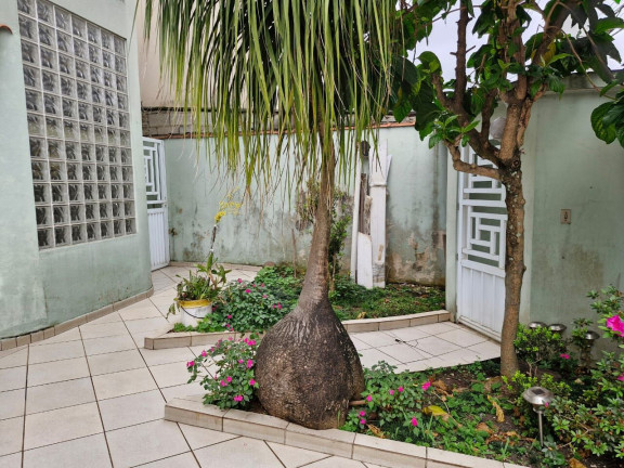 Imagem Casa com 3 Quartos à Venda, 250 m² em Ponta Da Praia - Santos Imagem Casa com 3 Quartos à Venda, 250 m² em Ponta Da Praia - Santos
