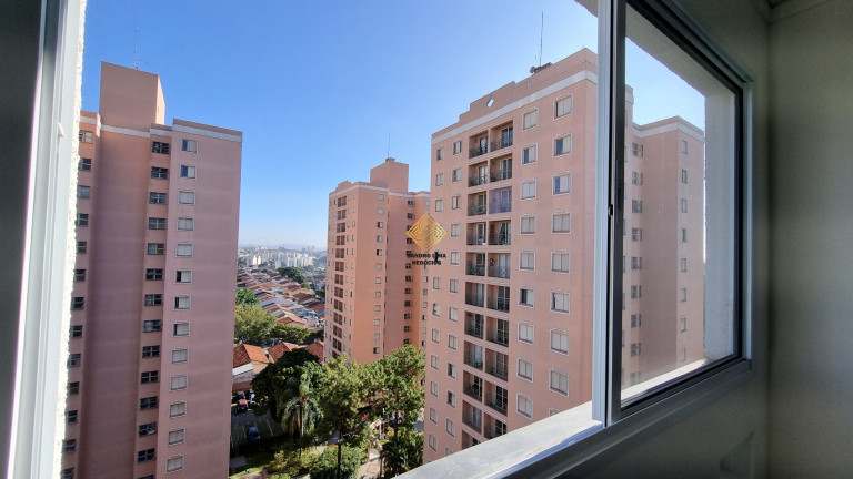 Imagem Apartamento com 2 Quartos à Venda, 37 m² em Butantã - São Paulo