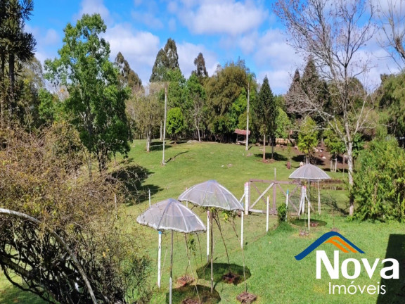 Imagem Imóvel à Venda, em Linha Imperial - Nova Petrópolis Imagem Imóvel à Venda, em Linha Imperial - Nova Petrópolis