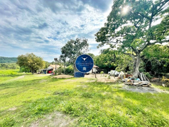 Imagem Fazenda à Venda, 41 m² em Rural - Crixás Imagem Fazenda à Venda, 41 m² em Rural - Crixás