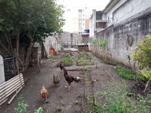 Imagem Terreno à Venda, 135 m² em Vila Urupês - Suzano Imagem Terreno à Venda, 135 m² em Vila Urupês - Suzano