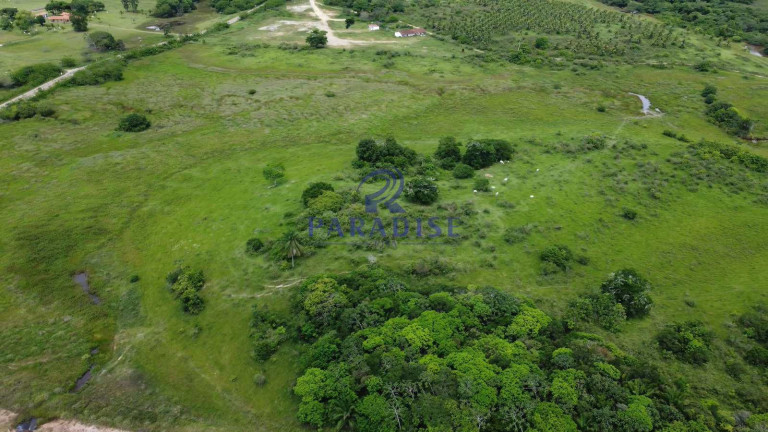 Imagem Fazenda à Venda, 2.114.000 m² em Zona Rural - Itanagra Imagem Fazenda à Venda, 2.114.000 m² em Zona Rural - Itanagra
