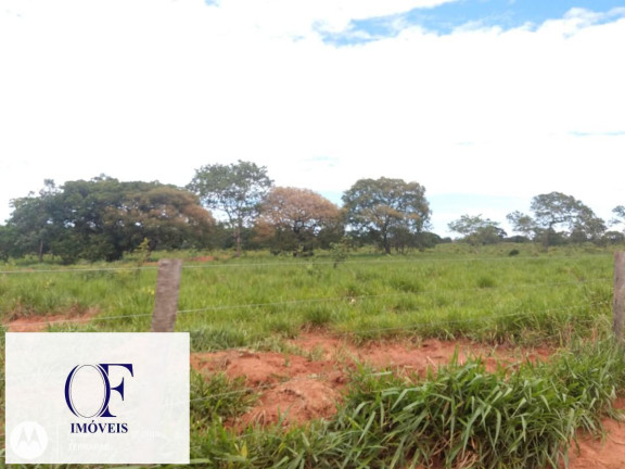 Imagem Fazenda à Venda, 3.097 m² em Rural - Chapadão Do Sul