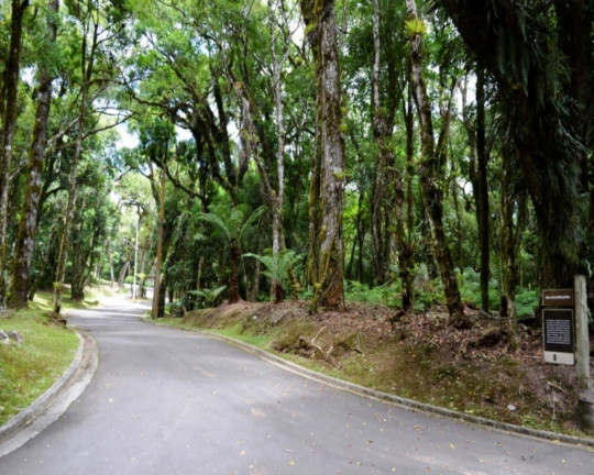 Imagem Imóvel à Venda, 1.657 m² em Vila Moura - Gramado Imagem Imóvel à Venda, 1.657 m² em Vila Moura - Gramado