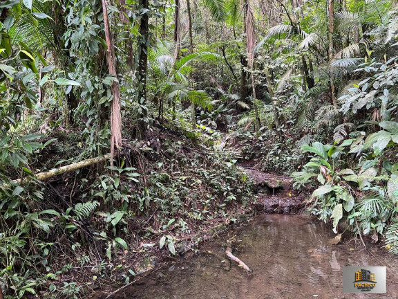 Imagem Imóvel com 7 Quartos à Venda, 242.000 m² em Pocinho - São Lourenço Da Serra Imagem Imóvel com 7 Quartos à Venda, 242.000 m² em Pocinho - São Lourenço Da Serra