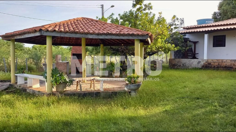 Imagem Fazenda à Venda, em Estrada Das Pedrinhas - Petrolina Imagem Fazenda à Venda, em Estrada Das Pedrinhas - Petrolina