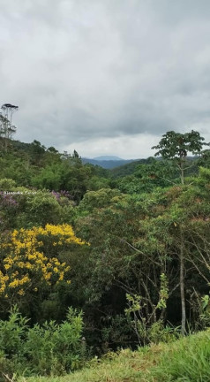 Imóvel Comercial à Venda, 220 m² em Pouso Alto - Natividade Da Serra