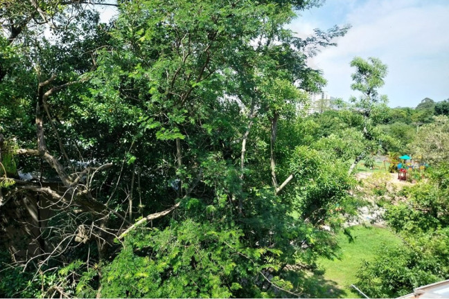 Imagem Casa de Condomínio com 3 Quartos à Venda, 104 m² em Morro Santana - Porto Alegre Imagem Casa de Condomínio com 3 Quartos à Venda, 104 m² em Morro Santana - Porto Alegre