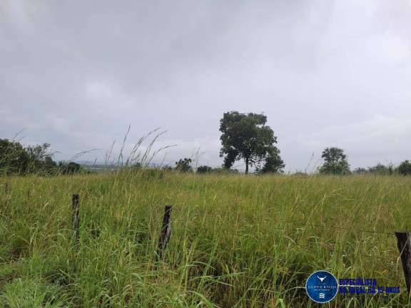 Imagem Chácara à Venda, 15 m² em Zona Rural - Palmeiras De Goiás Imagem Chácara à Venda, 15 m² em Zona Rural - Palmeiras De Goiás