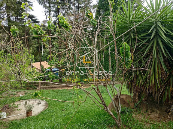 Imagem Casa com 3 Quartos à Venda, 150 m² em Carneiros - Brumadinho Imagem Casa com 3 Quartos à Venda, 150 m² em Carneiros - Brumadinho