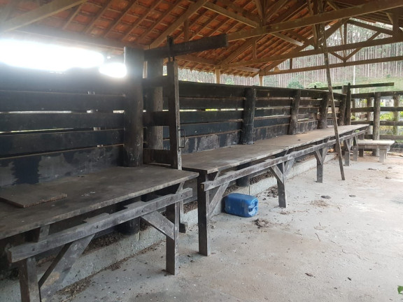 Imagem Fazenda à Venda, 500 m² em Centro - Paraibuna Imagem Fazenda à Venda, 500 m² em Centro - Paraibuna