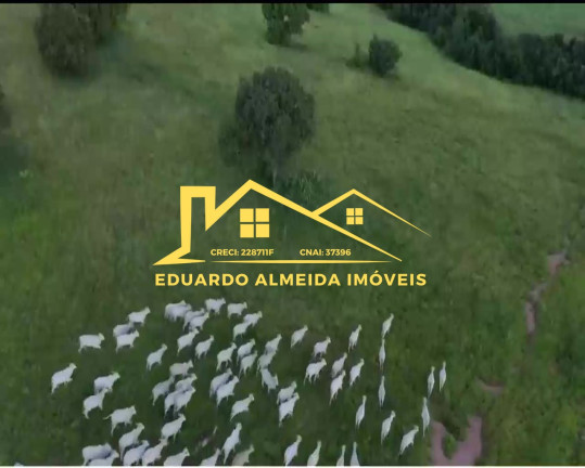Imagem Imóvel à Venda,  em Barreira Da Onça - Arraias