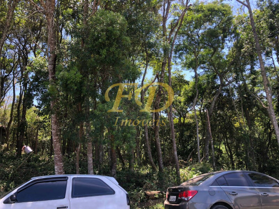 Terreno à Venda, 1.100 m² em Mato Dentro - Mairiporã
