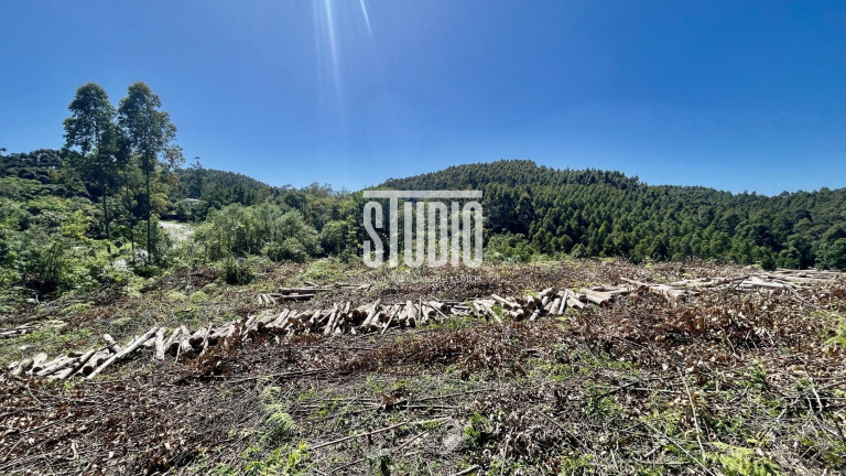 Imagem Terreno à Venda, 11.990 m² em Operário - Barão Imagem Terreno à Venda, 11.990 m² em Operário - Barão