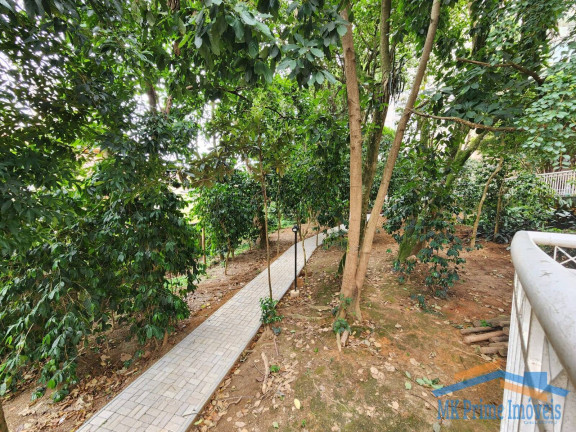 Imagem Apartamento com 3 Quartos à Venda, 110 m² em Jardim Arpoador - São Paulo Imagem Apartamento com 3 Quartos à Venda, 110 m² em Jardim Arpoador - São Paulo