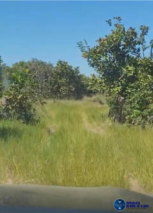 Imagem Fazenda à Venda, 774 m² em Zona Rural - Cocalinho Imagem Fazenda à Venda, 774 m² em Zona Rural - Cocalinho