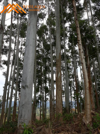 Imagem Terreno à Venda, 6 m² em Costa De Baixo - Imarui