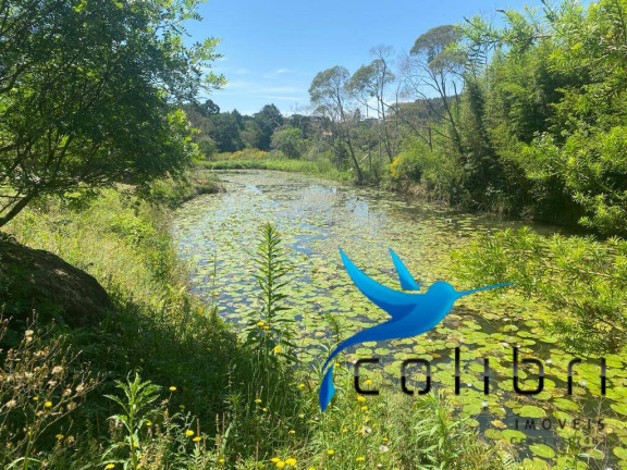 Imagem Chácara com 6 Quartos à Venda, 34.000 m² em Leão - Agudos Do Sul Imagem Chácara com 6 Quartos à Venda, 34.000 m² em Leão - Agudos Do Sul