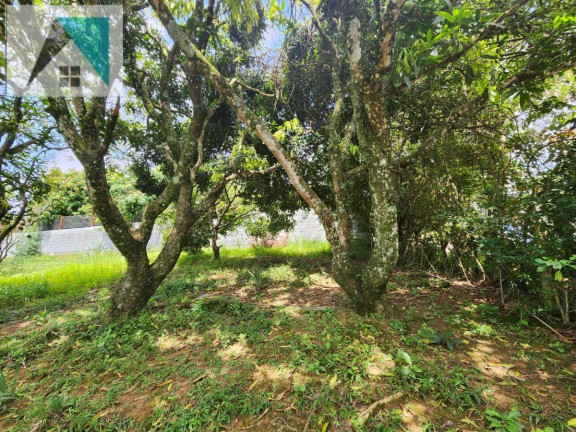 Imagem Chácara com 2 Quartos à Venda, 80 m² em Ponunduva - Cajamar