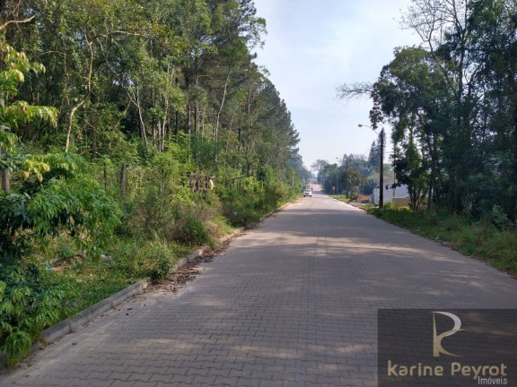 Imagem Terreno à Venda, 300 m² em Campestre - São Leopoldo
